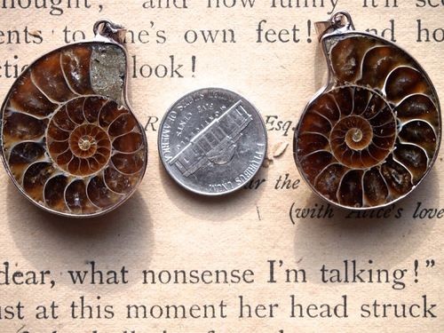 Ammonite Fossil Nautilus Pendant with Bezel and Bail